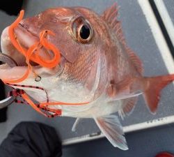 白墨丸 釣果