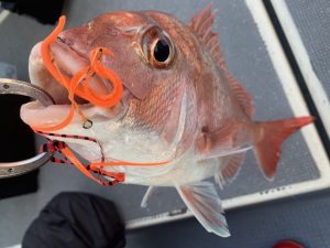 白墨丸 釣果