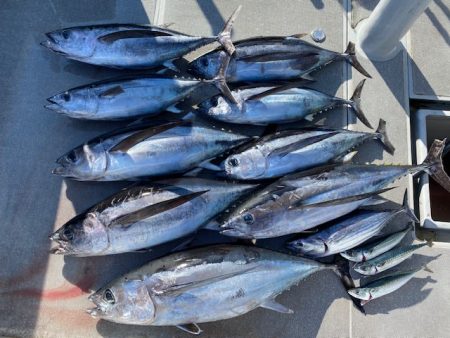 へいみつ丸 釣果