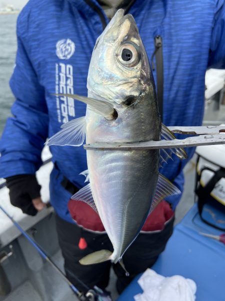 夢丸 釣果