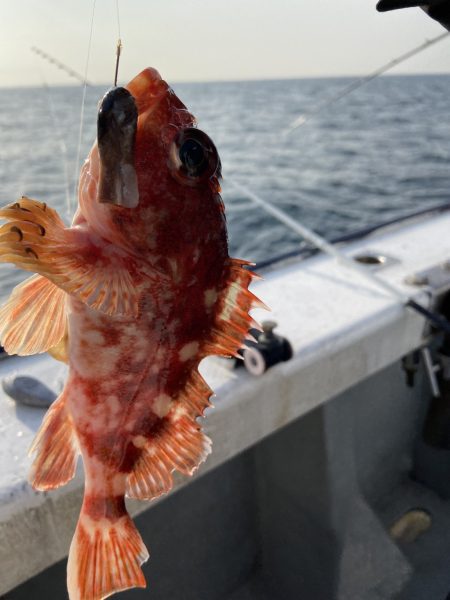 夢丸 釣果