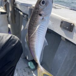 夢丸 釣果