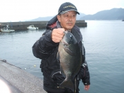 春日丸 釣果