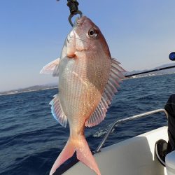 フィッシングボート空風（そらかぜ） 釣果