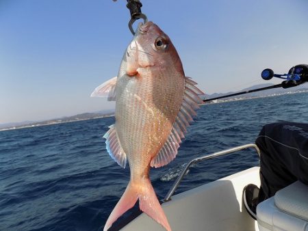 フィッシングボート空風（そらかぜ） 釣果