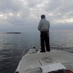 フィッシングボート空風（そらかぜ） 釣果