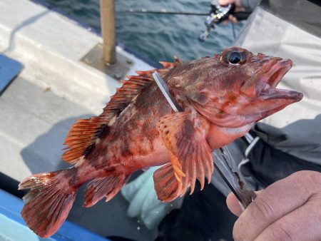 夢丸 釣果