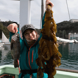 はらまる 釣果