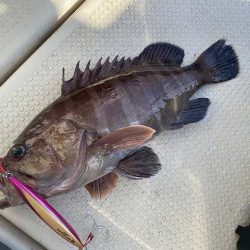 三吉丸 釣果