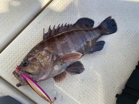 三吉丸 釣果