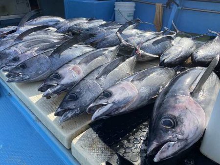 三吉丸 釣果