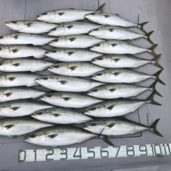 NAKAMARU 釣果