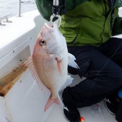 開進丸 釣果