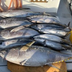 まると屋 釣果