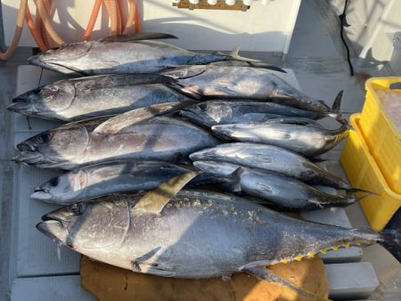 まると屋 釣果