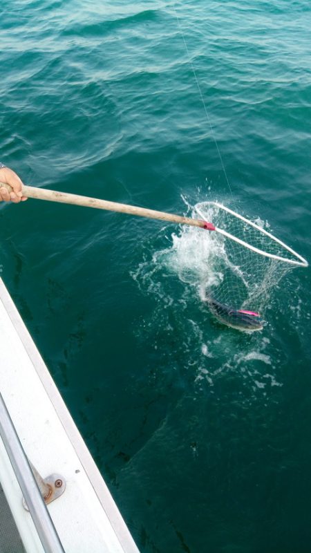 弘福丸 釣果