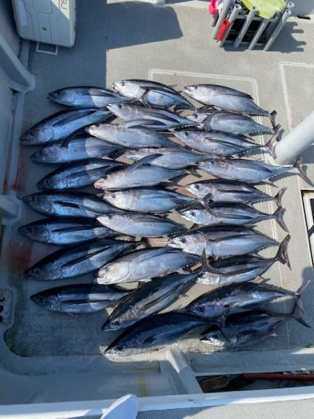 へいみつ丸 釣果