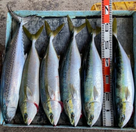 明神釣船 釣果