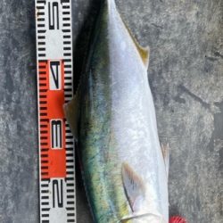 明神釣船 釣果