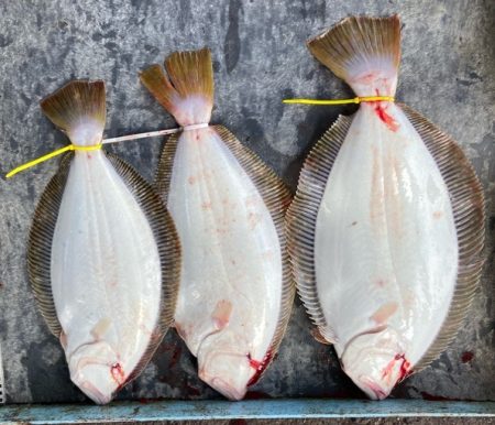 明神釣船 釣果