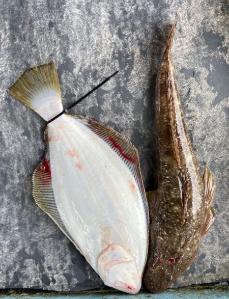 明神釣船 釣果