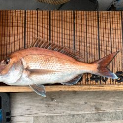 幸吉丸 釣果