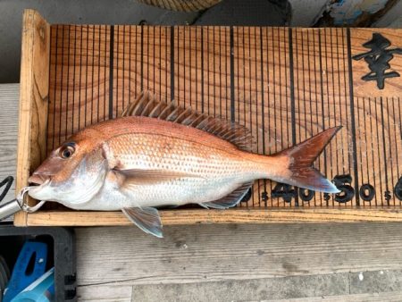 幸吉丸 釣果