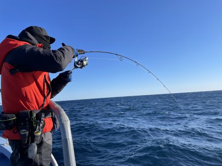 松鶴丸 釣果