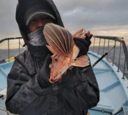 東京湾探釣隊ぼっち 釣果