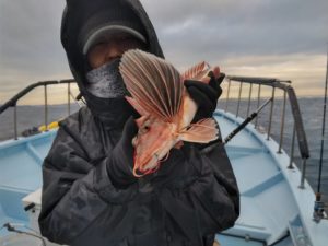 東京湾探釣隊ぼっち 釣果