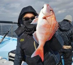 東京湾探釣隊ぼっち 釣果