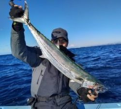 東京湾探釣隊ぼっち 釣果