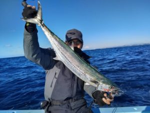 東京湾探釣隊ぼっち 釣果