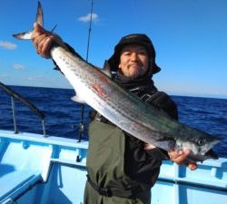 東京湾探釣隊ぼっち 釣果