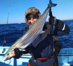 東京湾探釣隊ぼっち 釣果