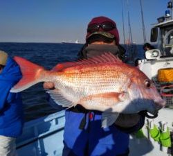 東京湾探釣隊ぼっち 釣果