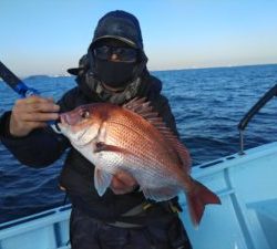 東京湾探釣隊ぼっち 釣果