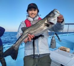 東京湾探釣隊ぼっち 釣果