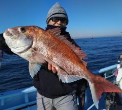 東京湾探釣隊ぼっち 釣果