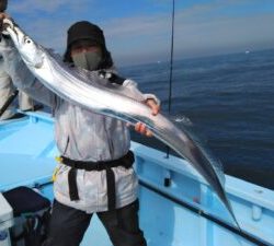 東京湾探釣隊ぼっち 釣果