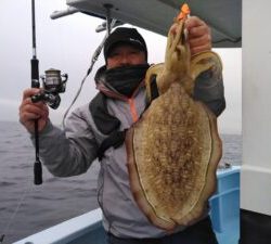 関東 アオリイカ ジギング船 釣り船 釣果情報サイト カンパリ