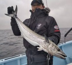 東京湾探釣隊ぼっち 釣果