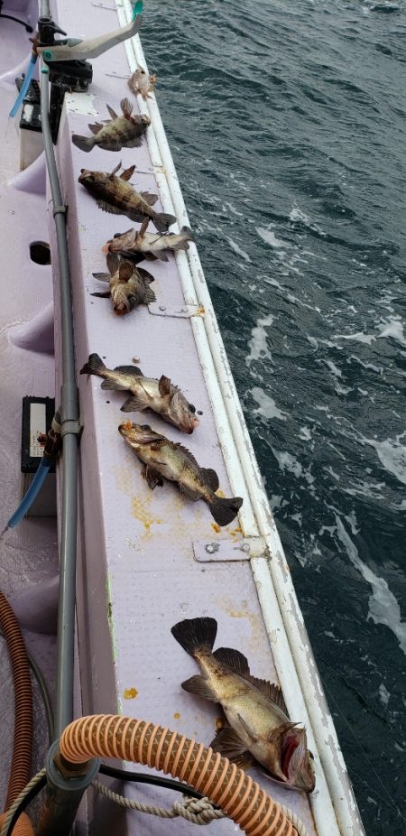 海龍丸（石川） 釣果