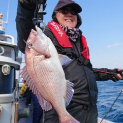 だて丸 釣果