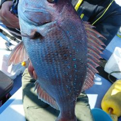 新幸丸 釣果