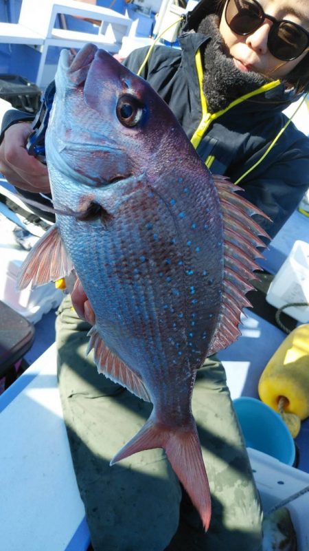 新幸丸 釣果