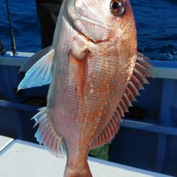 新幸丸 釣果