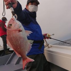 だて丸 釣果