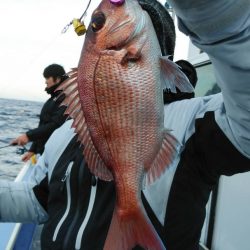 新幸丸 釣果