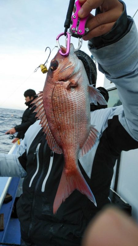 新幸丸 釣果